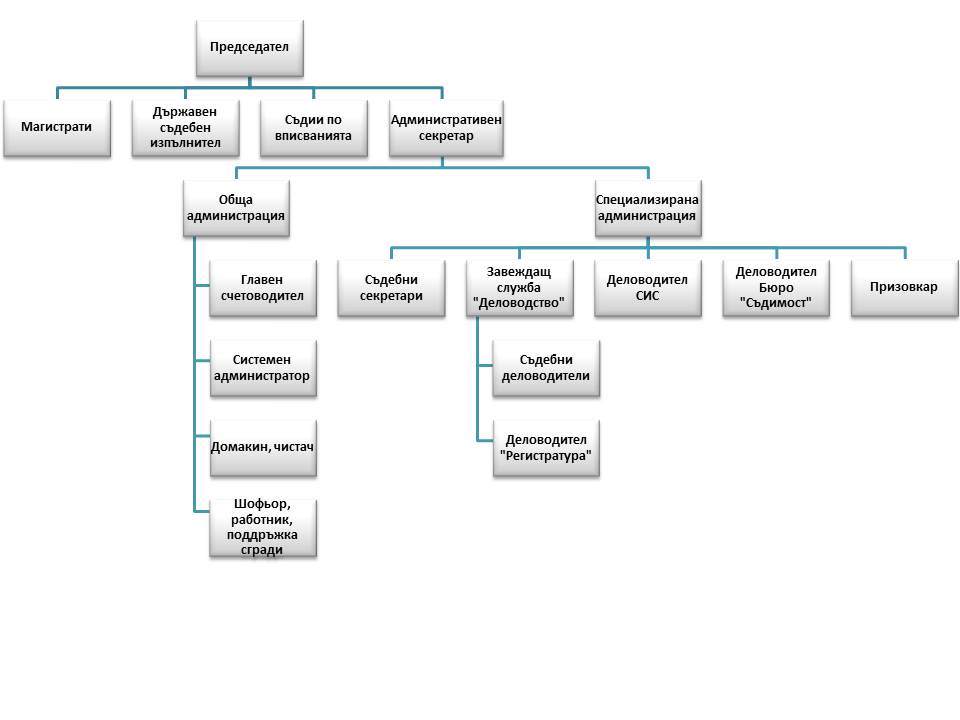 Организационна структура